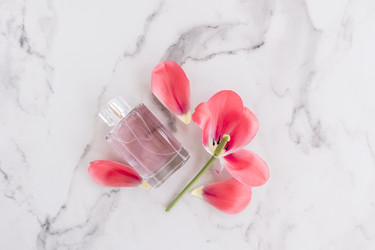 Similar image 21229975