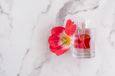 Similar image 21229977