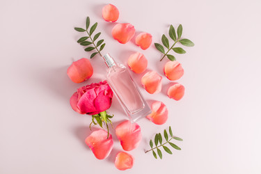 Similar image 21207540