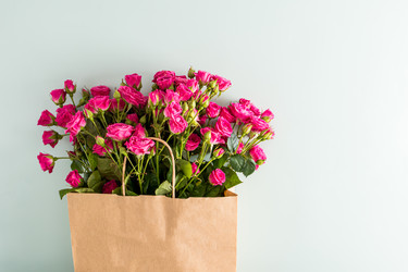 Similar image 21207543