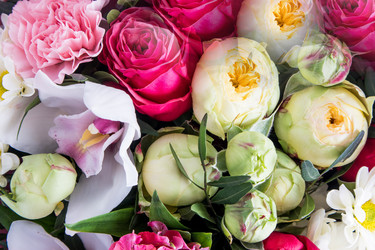 Similar image 21223719