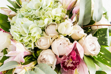 Similar image 21223869