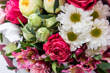 Similar image 21223873