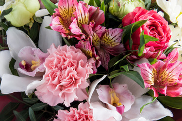 Similar image 21229367