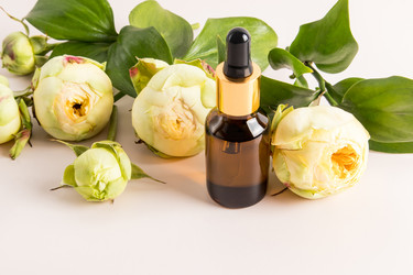 Similar image 21229431