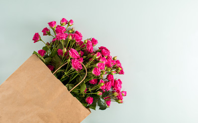 Similar image 21230030