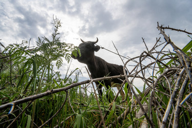 Similar image 21252442