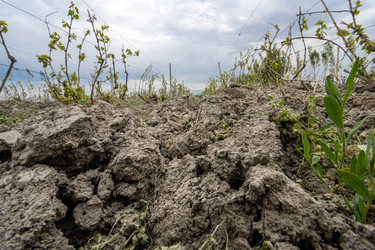 Similar image 21252795