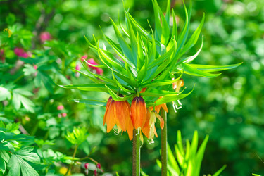 Similar image 21253766