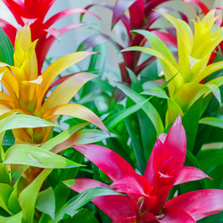 Similar image 21254524