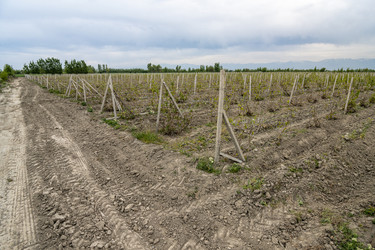 Similar image 21252814