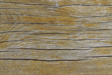 Similar image 21235325