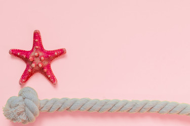 Similar image 21235341