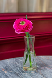 Similar image 21235346