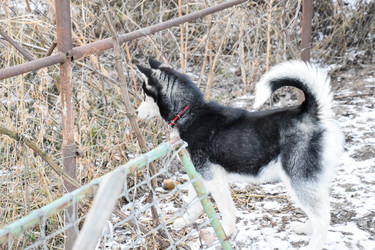 Similar image 21248422