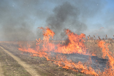 Similar image 21248767