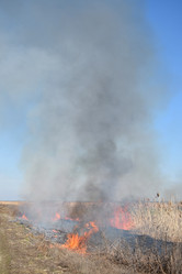 Similar image 21248768