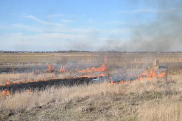 Similar image 21248779