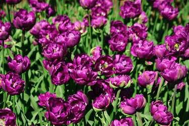 Similar image 21255510