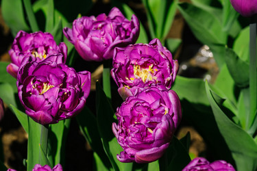 Similar image 21255890