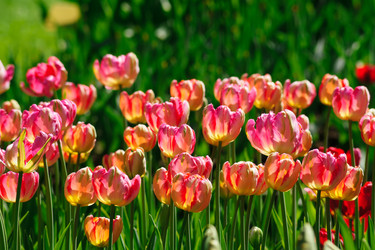 Similar image 21257099