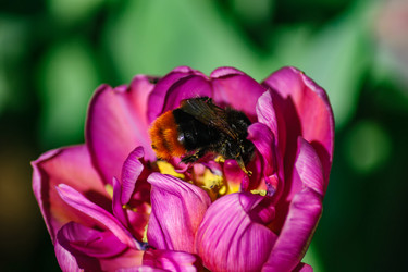 Similar image 21258070