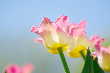 Similar image 21258655