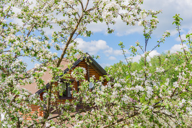 Similar image 21235354