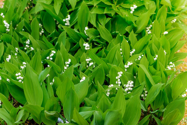 Similar image 21235369