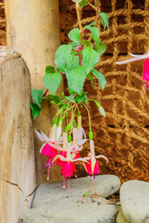 Similar image 21235556