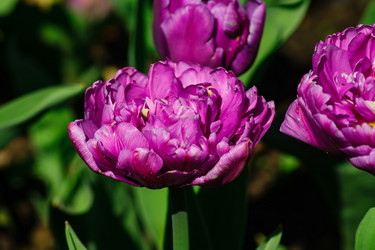 Similar image 21243221