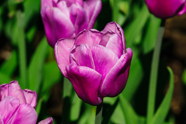 Similar image 21243225