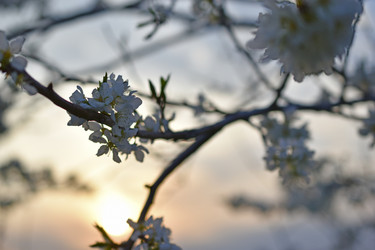 Similar image 21240657