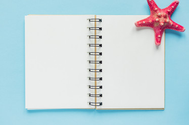 Similar image 21255517