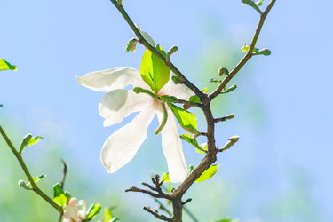 Similar image 21257070