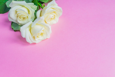 Similar image 21235120