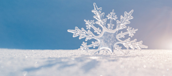 Similar image 21233611