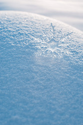 Similar image 21211333