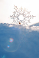 Similar image 21233612