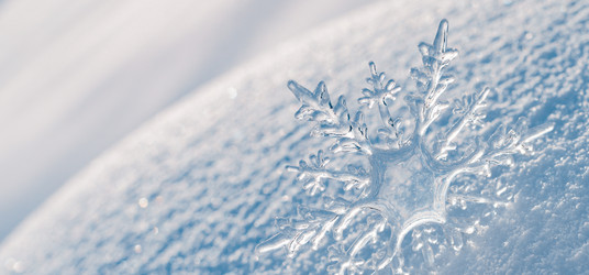 Similar image 21211335