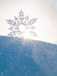 Similar image 21211343