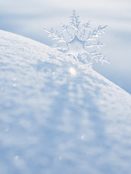 Similar image 21211348