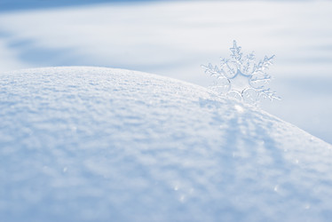 Similar image 21211352