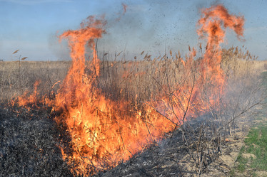 Similar image 21248426