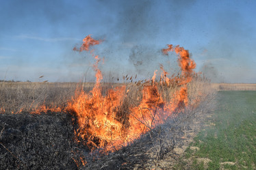 Similar image 21248429