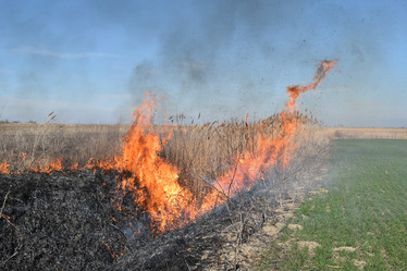 Similar image 21248430