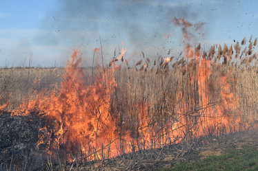 Similar image 21248433