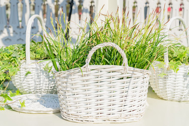 Similar image 21235131