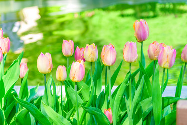 Similar image 21235306