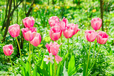 Similar image 21235307